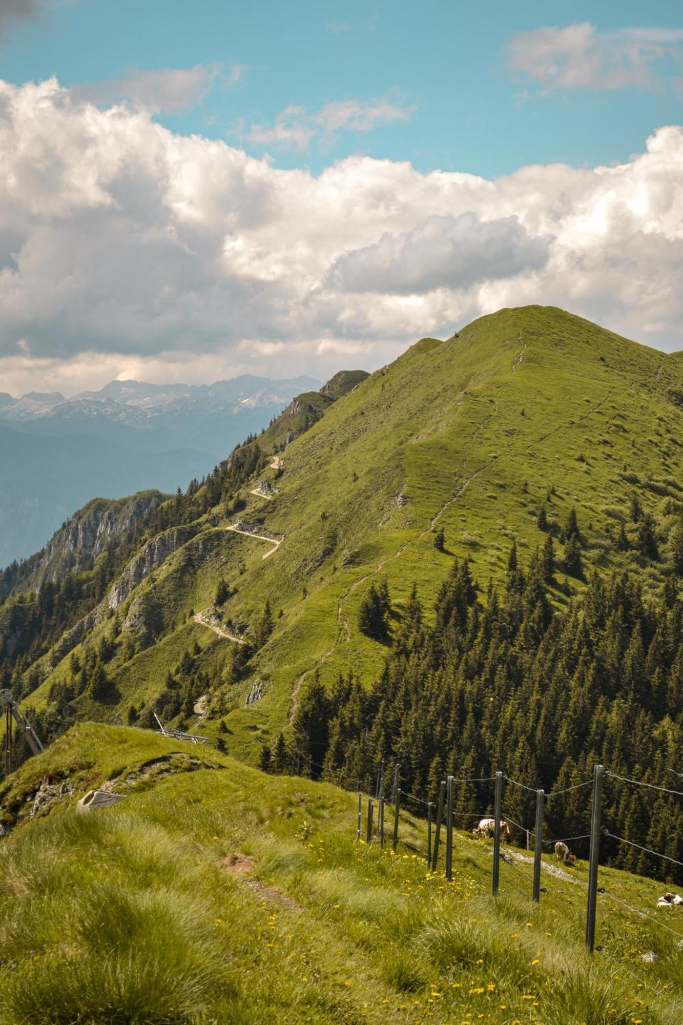 Guesthouse Lajnar Zgornja Sorica Екстер'єр фото